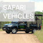 Safaria Vehicle