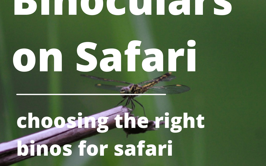 Which binoculars to Choose on Safari