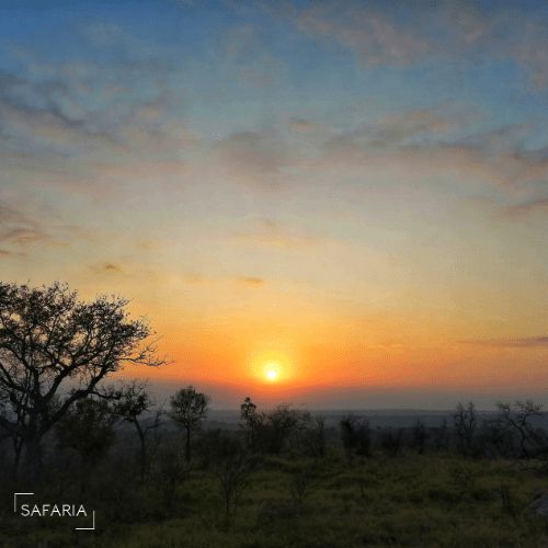 Kruger Park Photographic Safaris