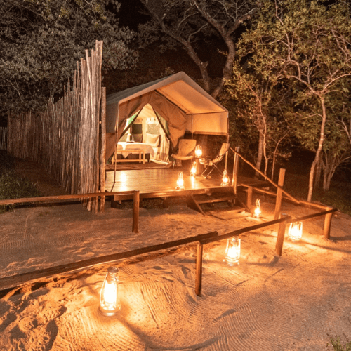 Safaria_Langa Langa Camp Kruger National Park 1