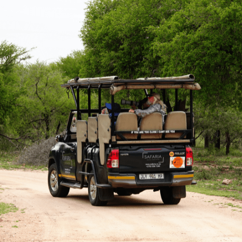 Birding private kruger safari